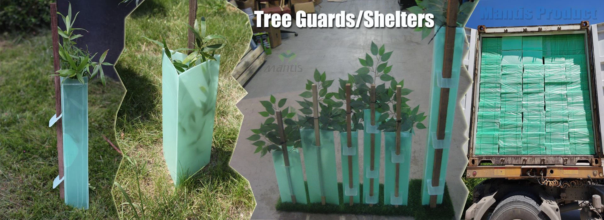 Vine Guard