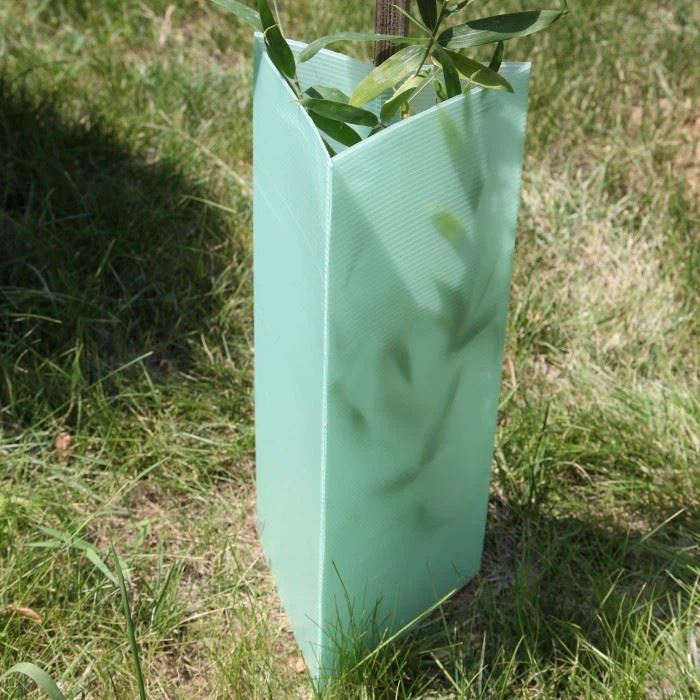 Corrugated Protection Tree Guard factory