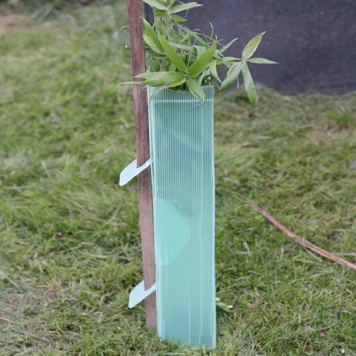 corflute tree guard 3 corflute tree guard 3