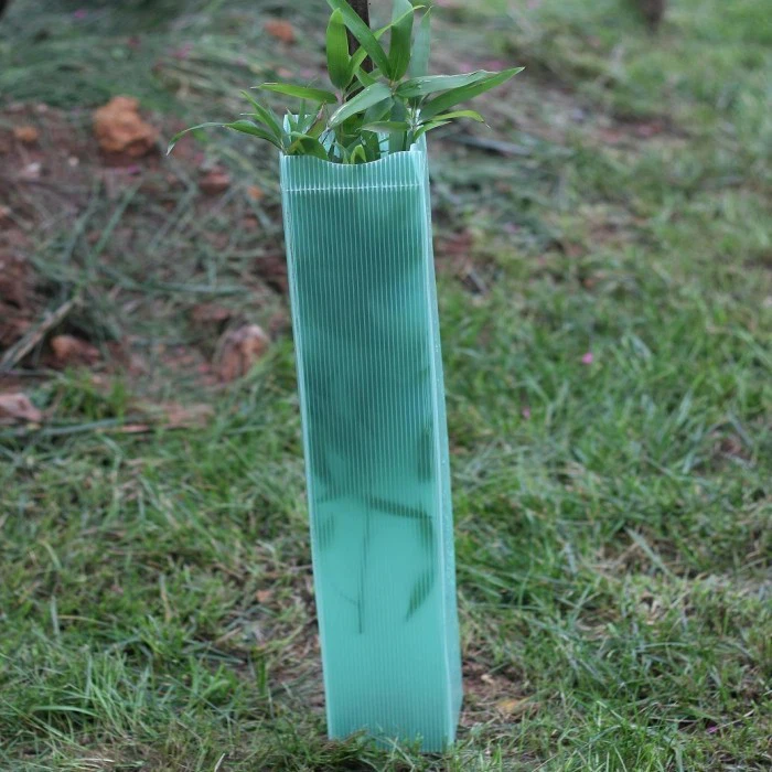 PP Tree Guard